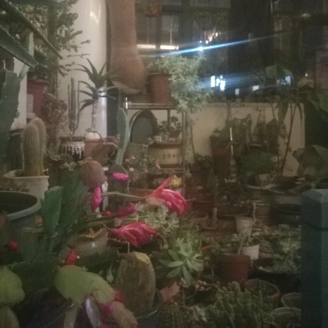 盈乐