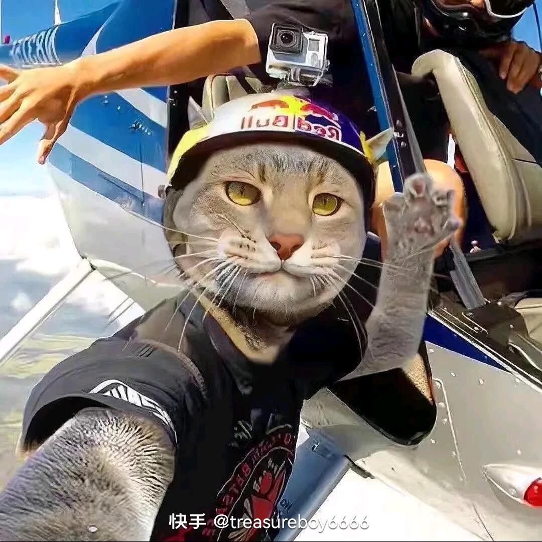 ᵎ(•̀㉨•́)و ̑̑