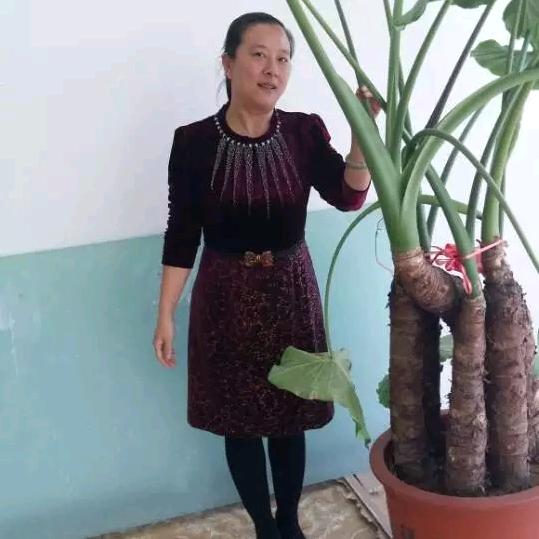 周姐实惠粮油店