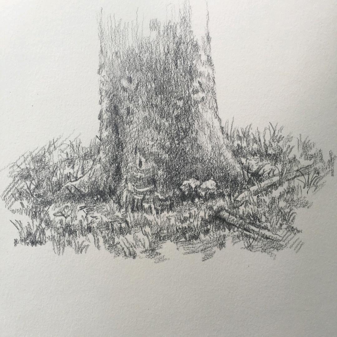 无形谢老师