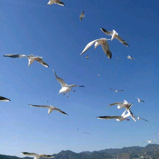 🇨🇳🇨🇳💧锁💧ฅ۶•ﻌ•♡