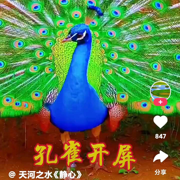 真实人生