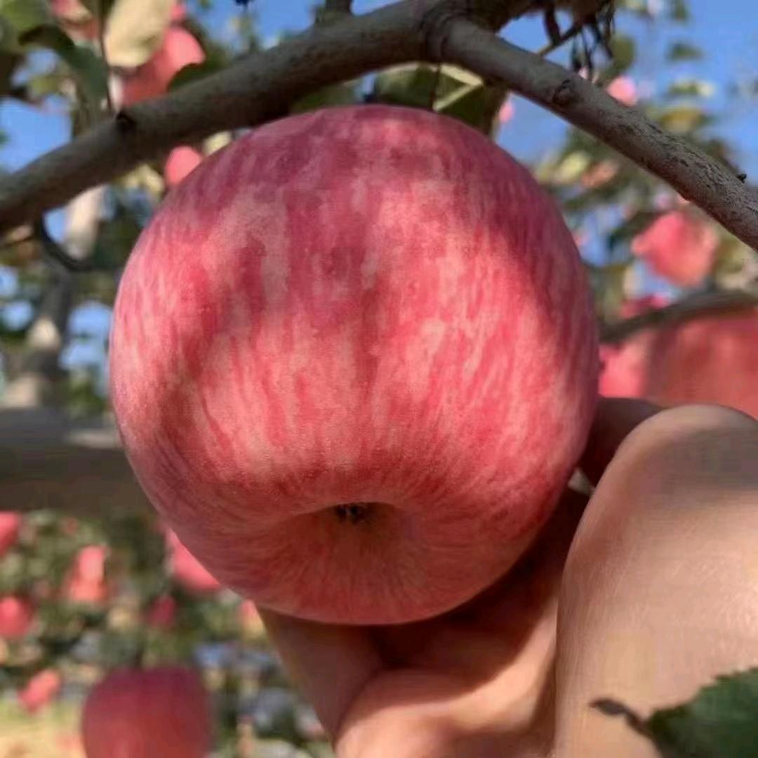 宇飞电商，代发快递，红白喜事都可以联系