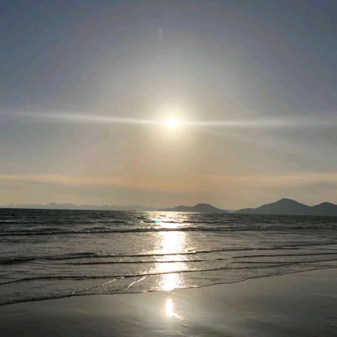 🍏  小  🍎 叶 🍏