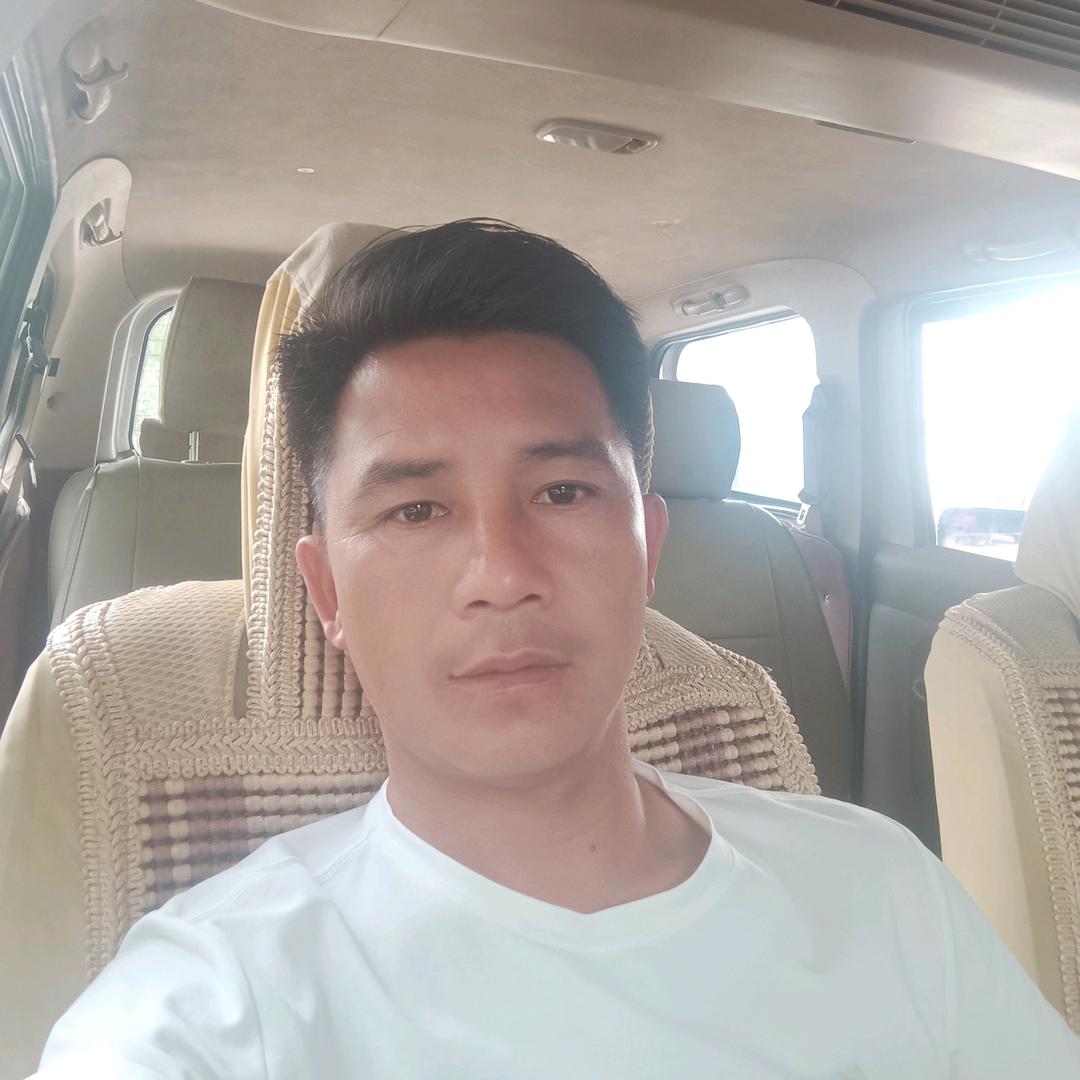 各种绿化苗木工程