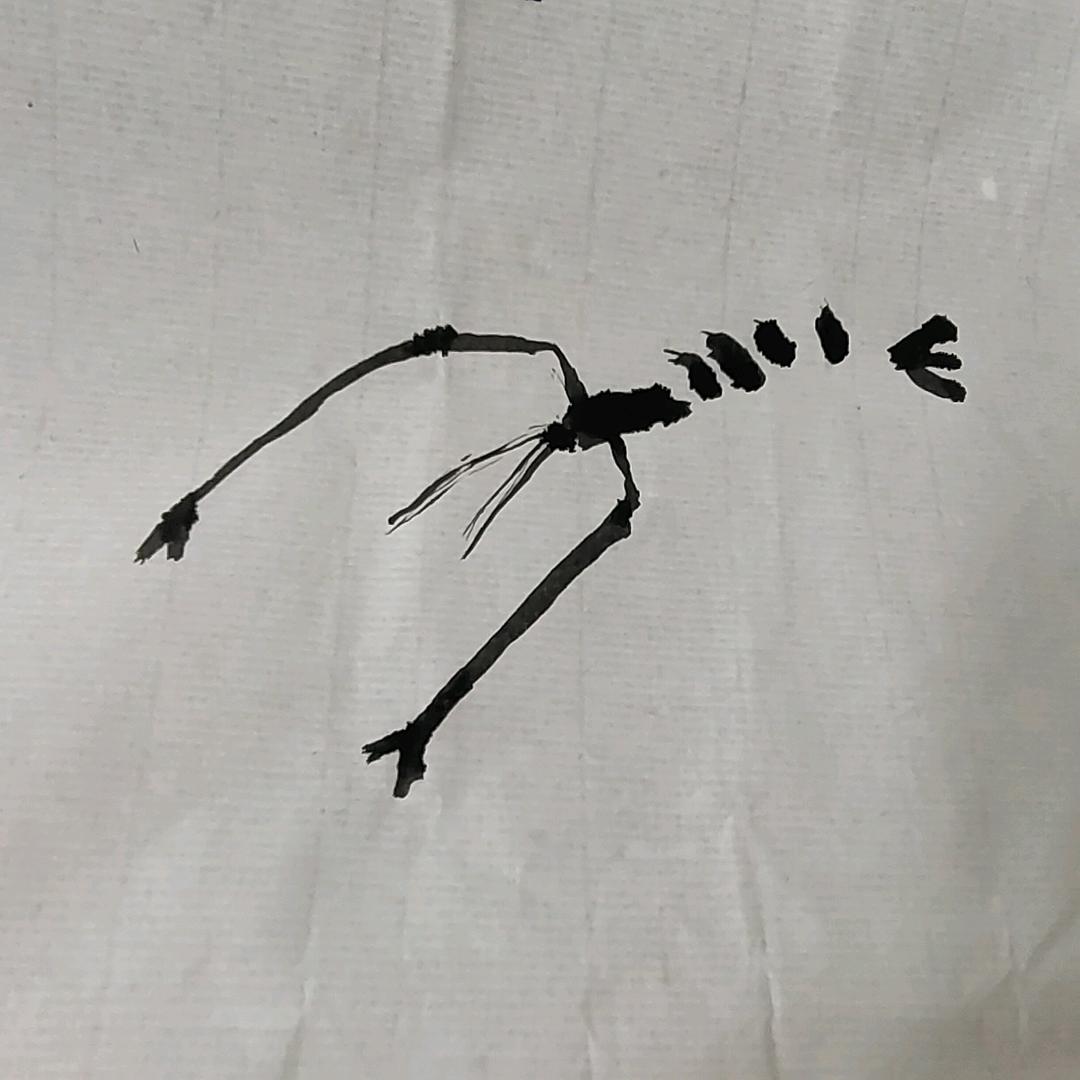 酸奶