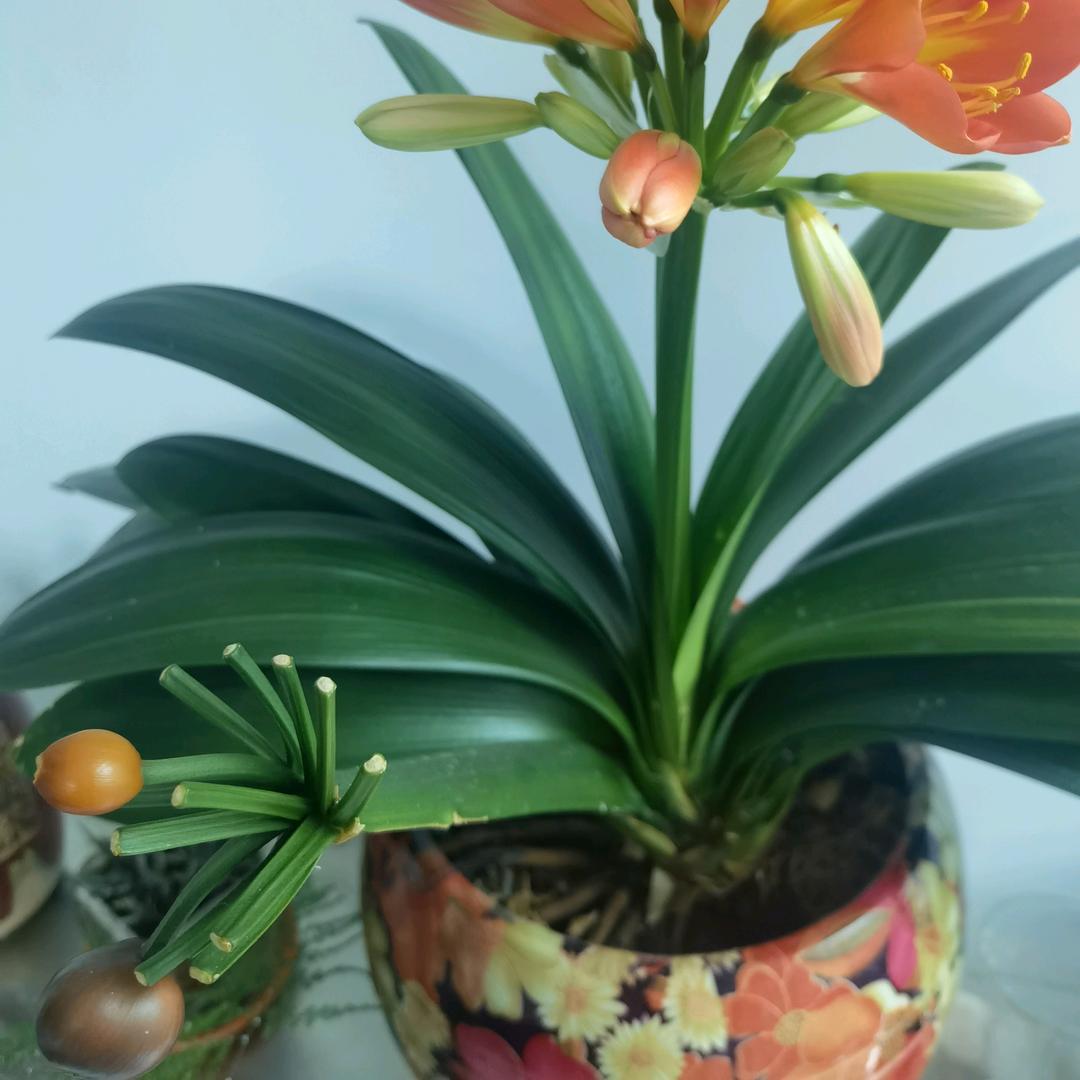 缪静
