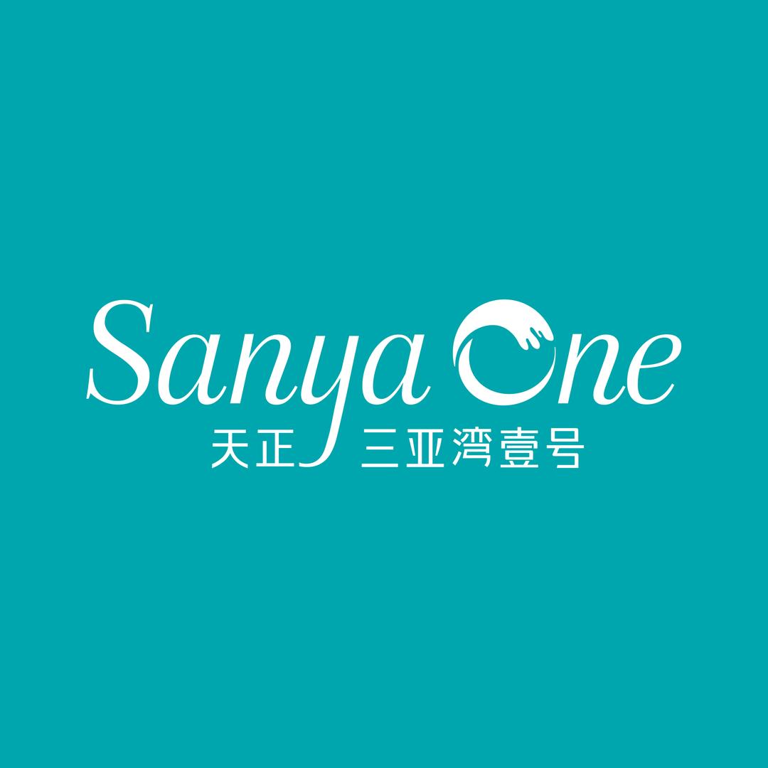 天正三亚湾壹号