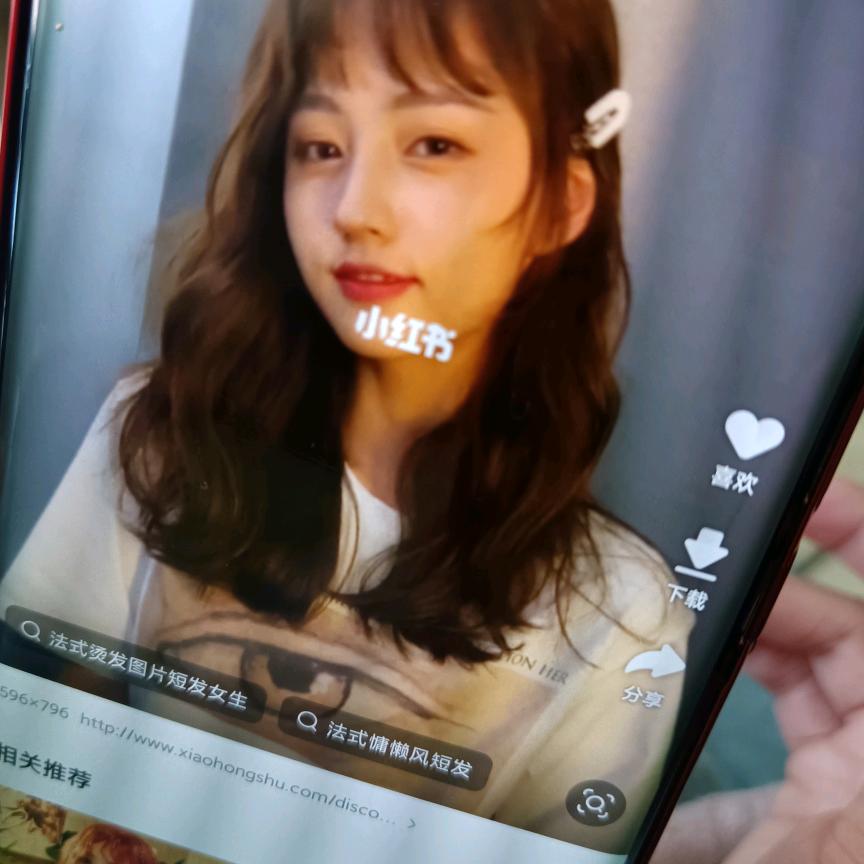 红玫瑰