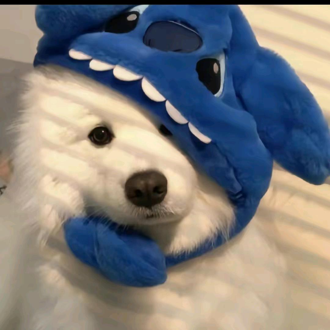 丨丨丨