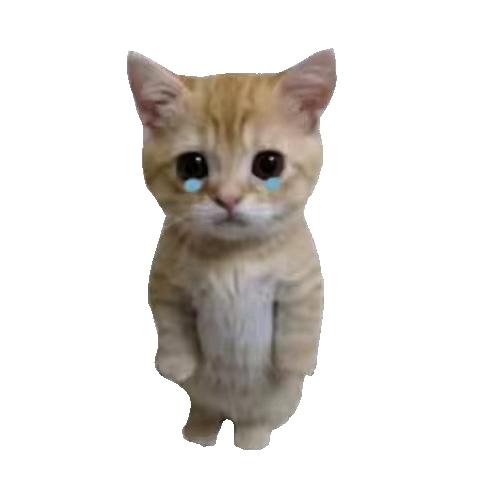 OoO