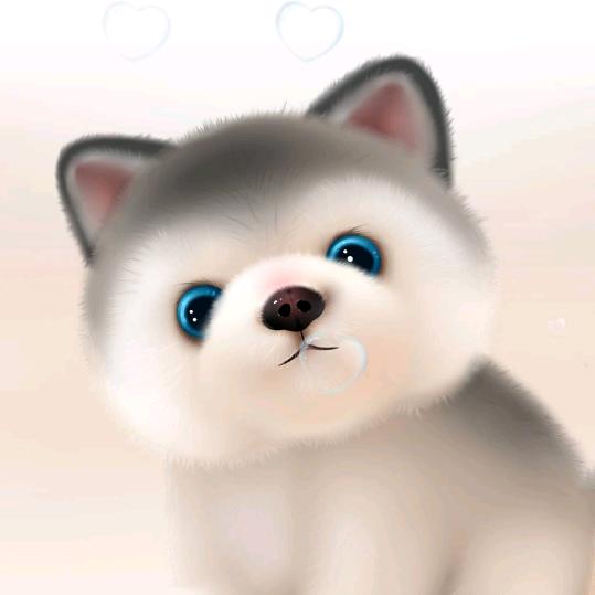 王金磊