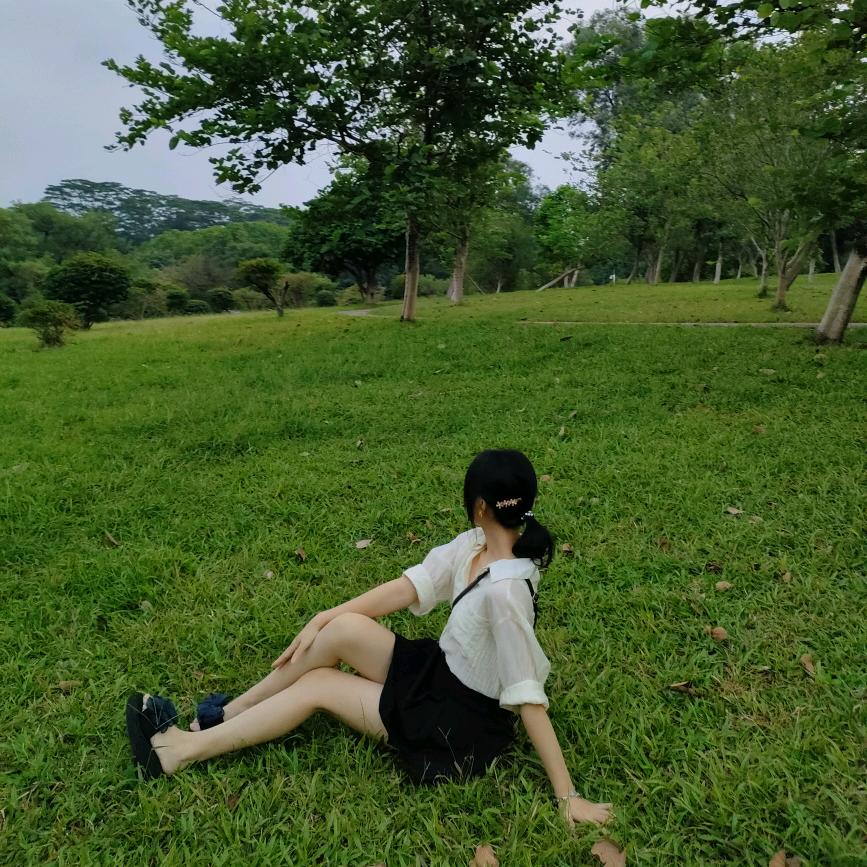 梦奇