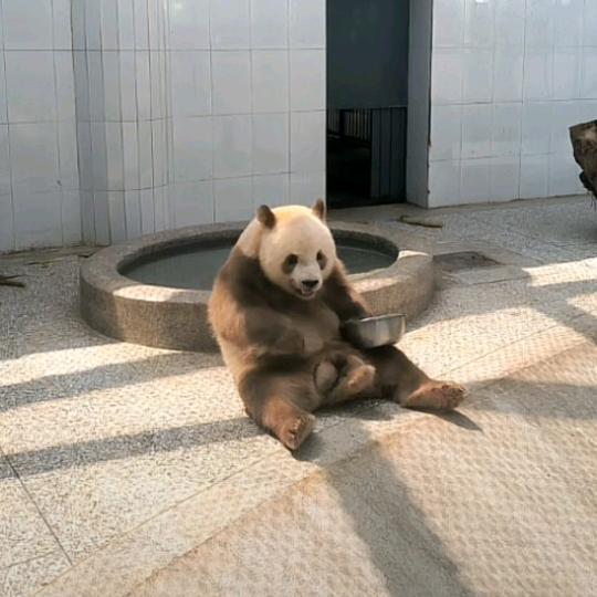 家政收纳保洁消毒清洗