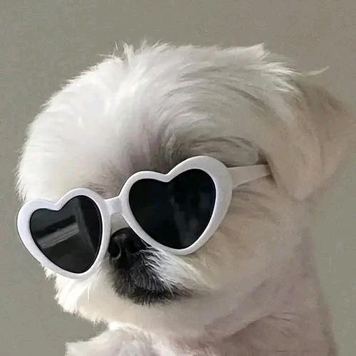 𝓡𝓤𝓘
