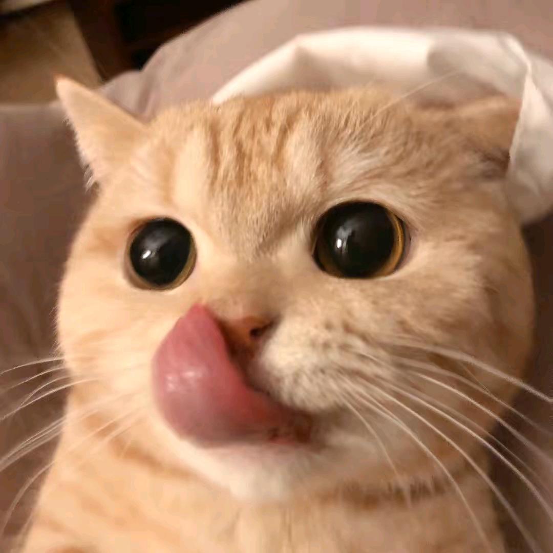 👉🏻😇👈🏻