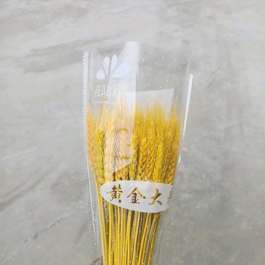 黄金大麦，花泥，玫瑰打刺机