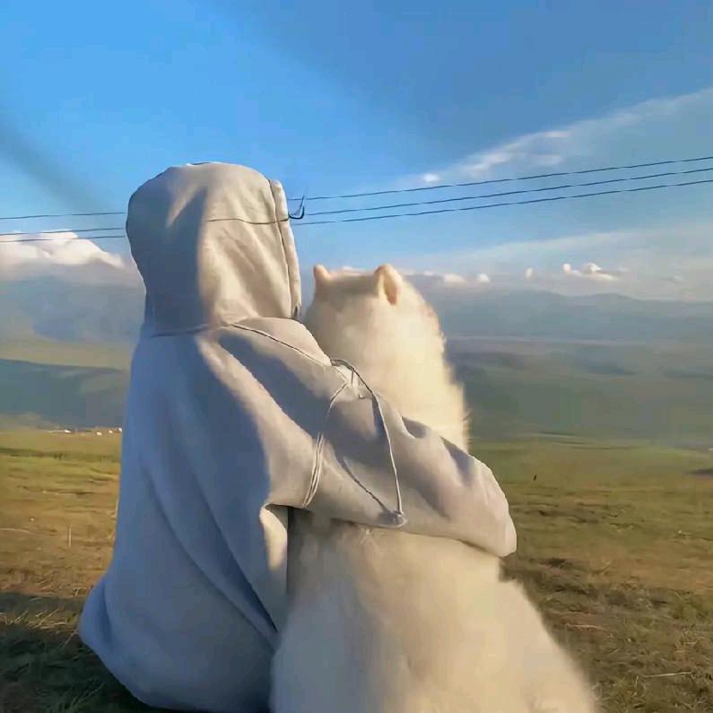 （*/∇＼*）