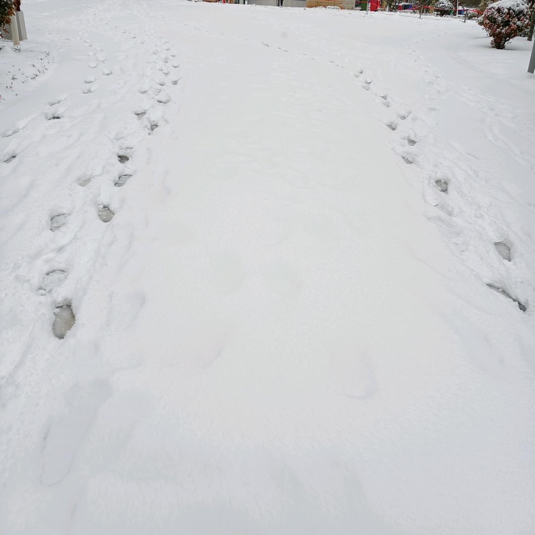 人生(︶.̮︶✽)如歌