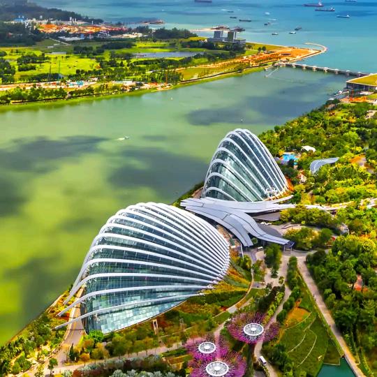 小梅子（妈妈）