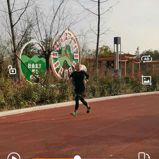 向着阳光奔跑辉（新纳西）