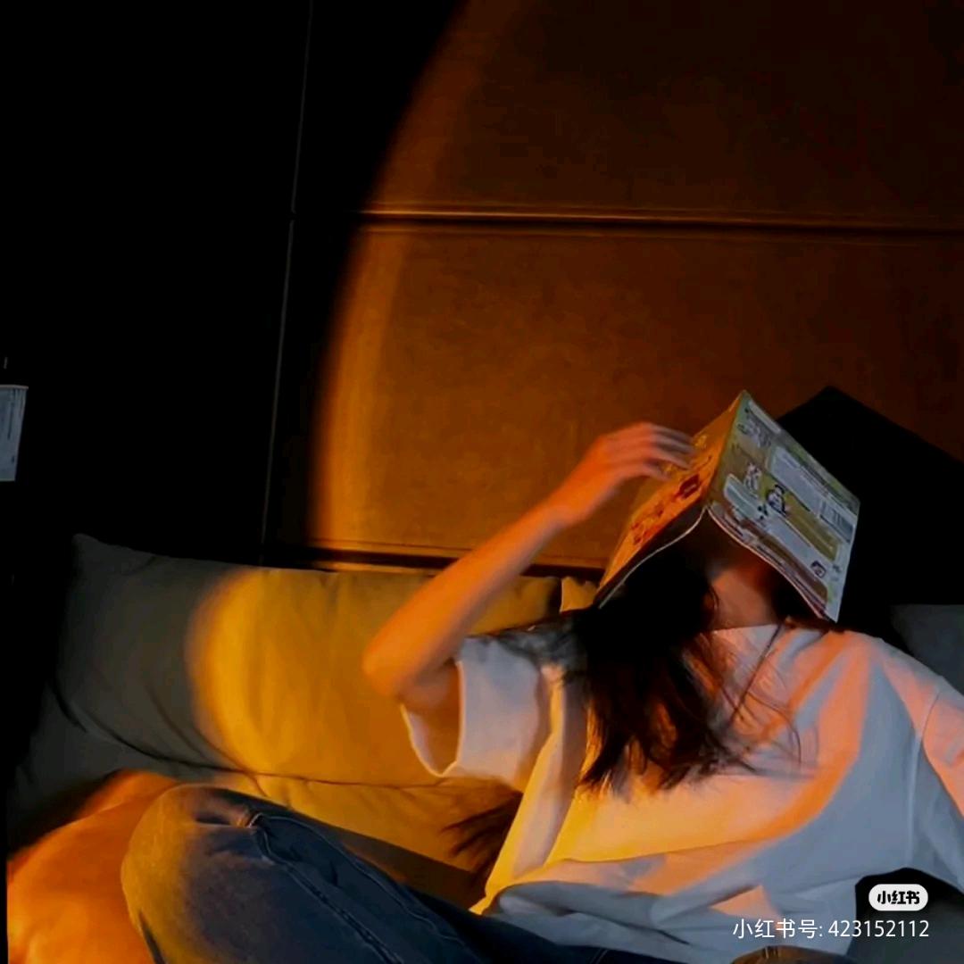 海豚梦中的北仑色