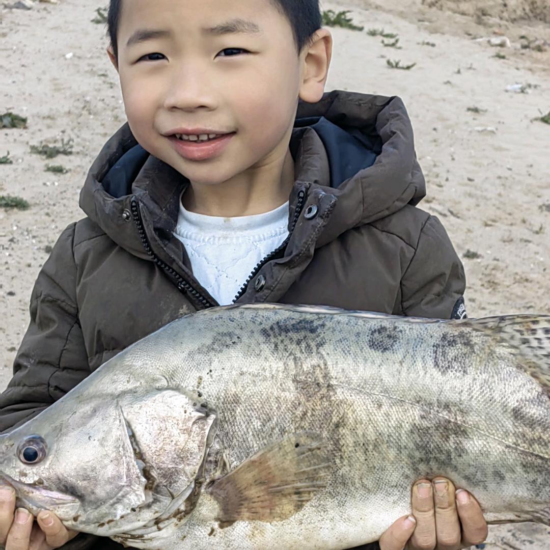 靠自己才有底气