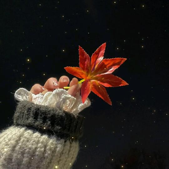 笑笑声控（橱窗下单）