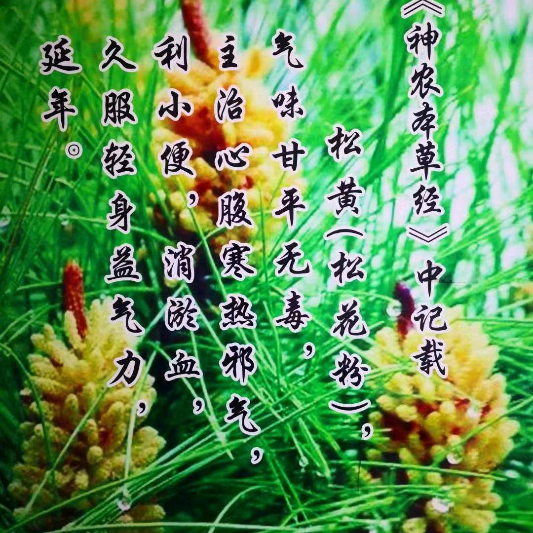 我要稳稳的幸福❤