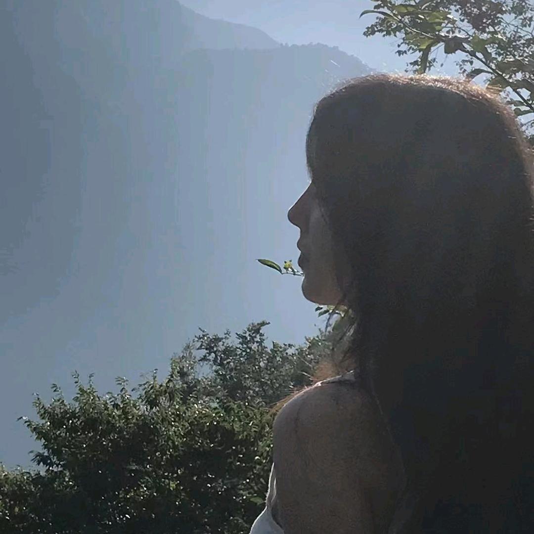 ai.小树