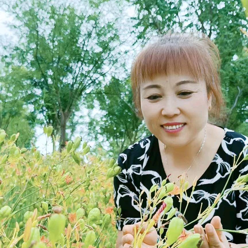 平儿