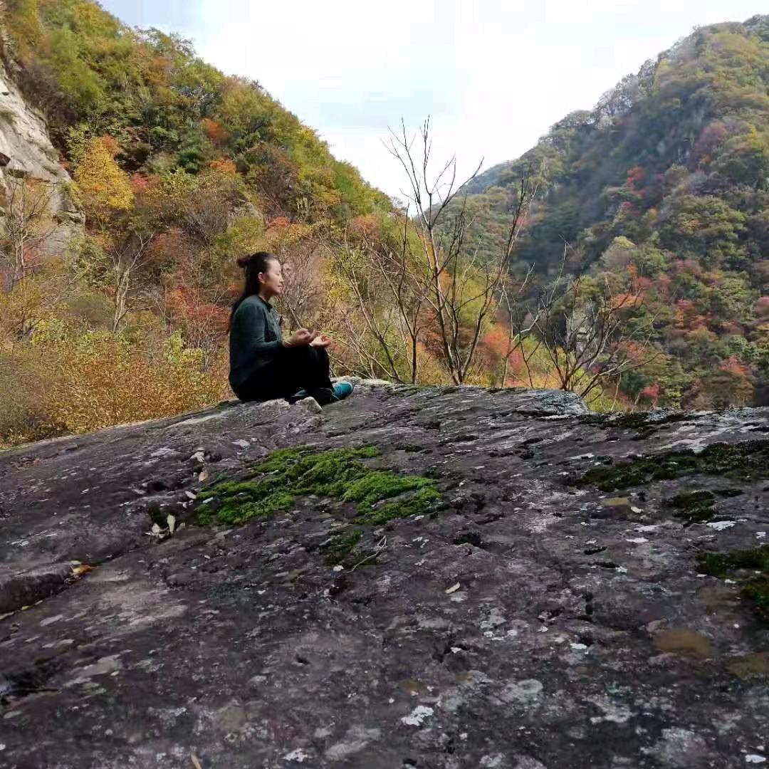 终南小隐