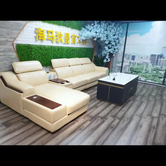 海马狄曼佛山市狄泓家具有限公司家具专卖店