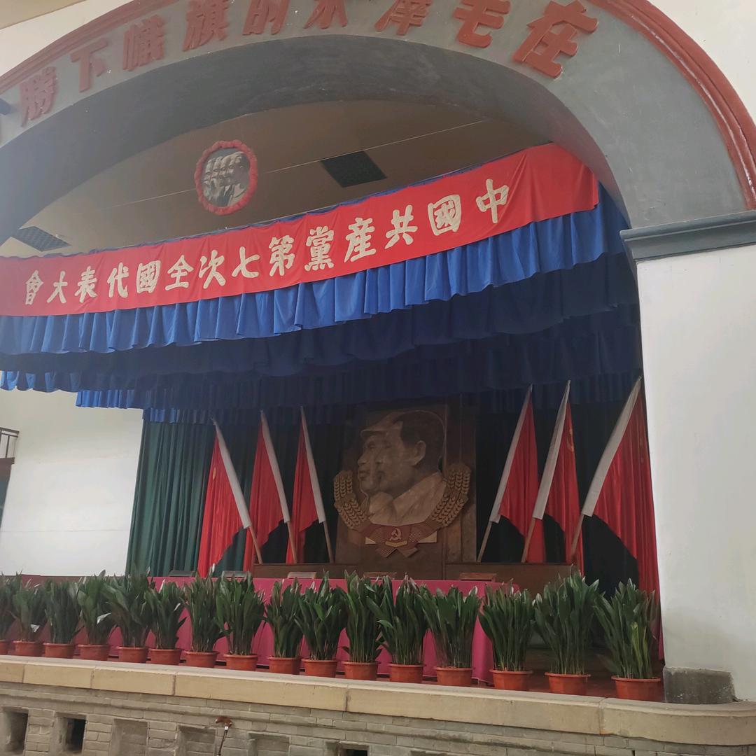 为你摘星