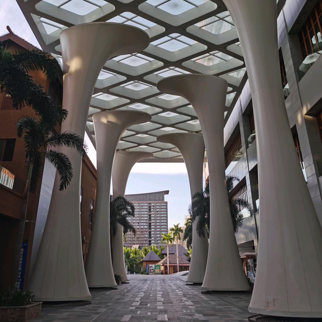 ꧁❤️有林C¹²⁰⁸꧂