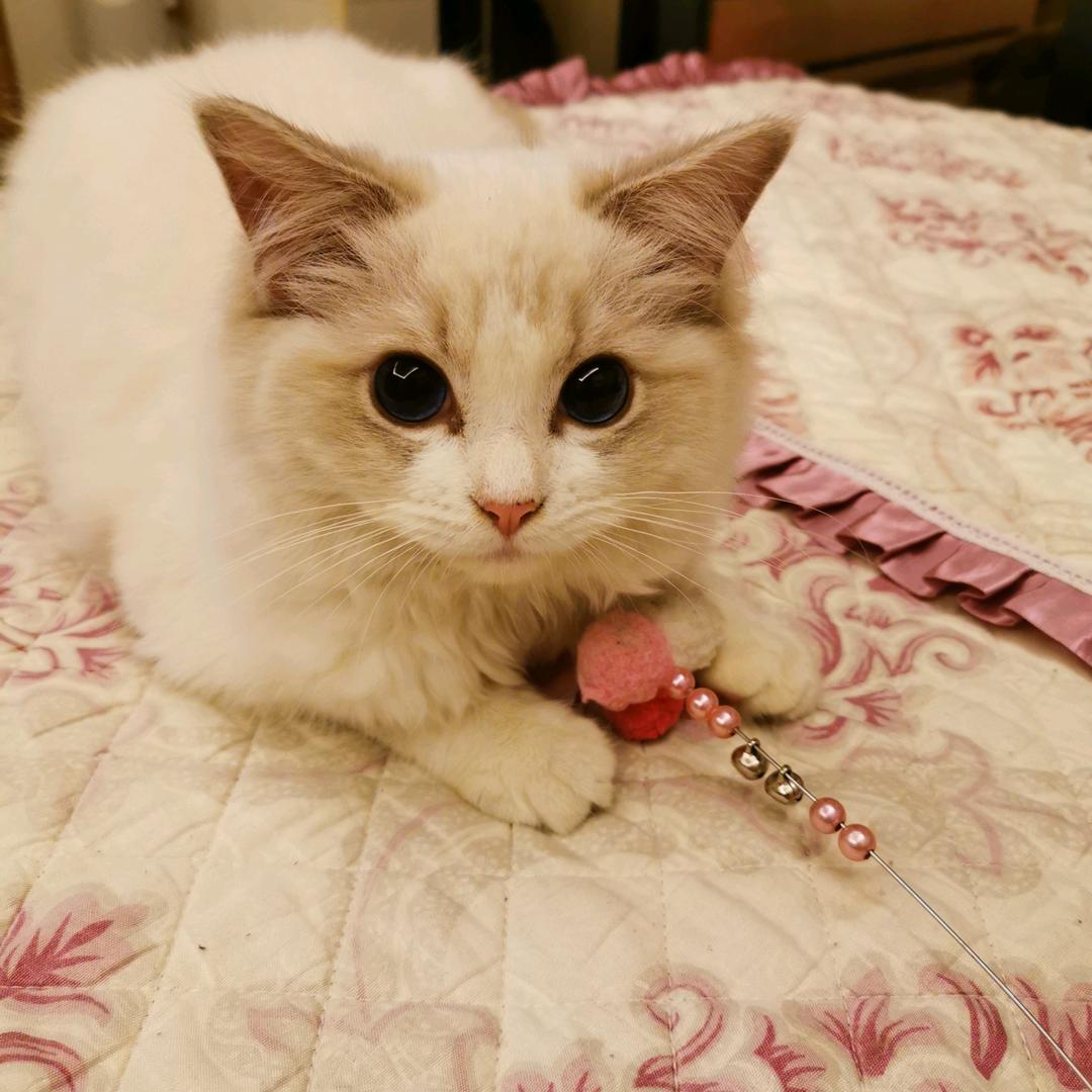 🌈🌈家和万事兴🌈