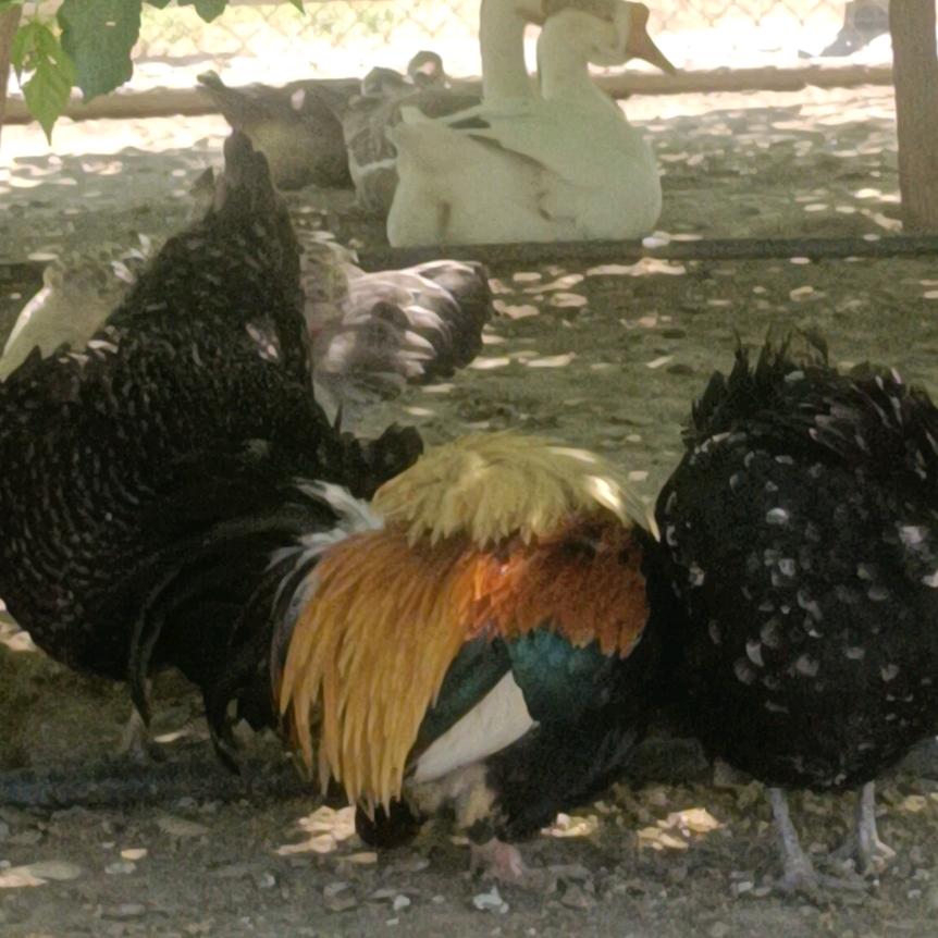 我。。。。。。。