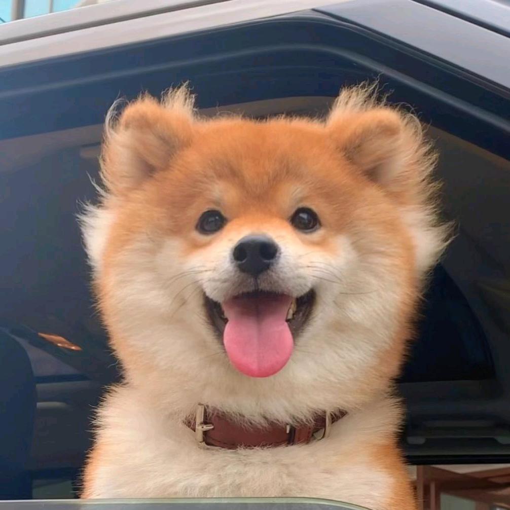 华天爱