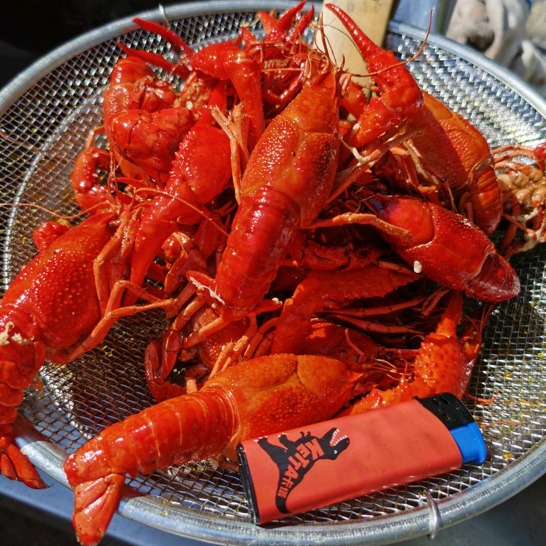 张家海鲜加工坊