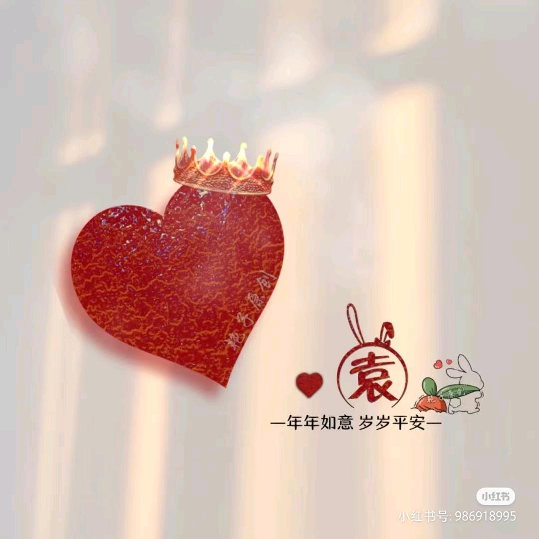 袁袁