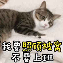 娶个九姨太回家