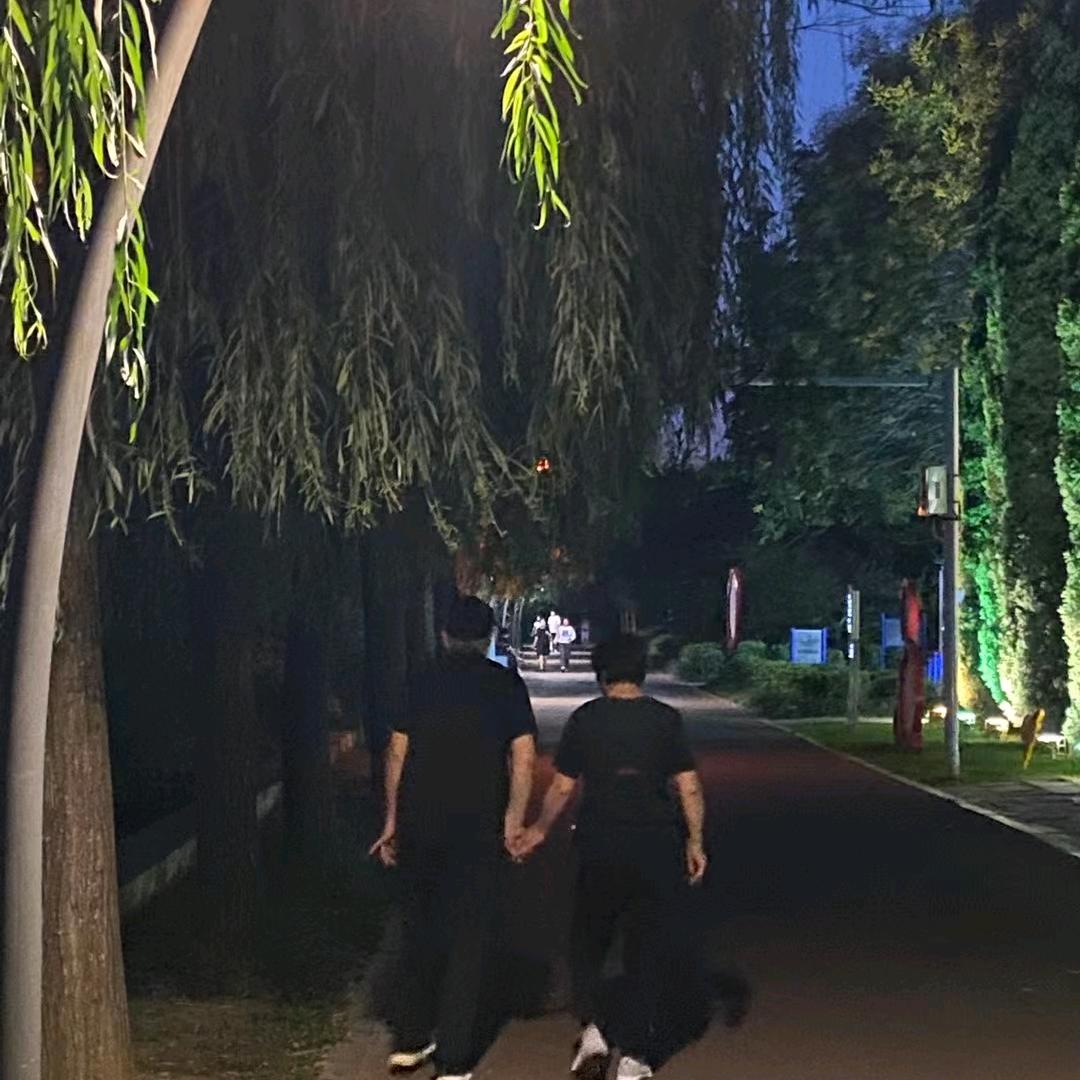 ywz