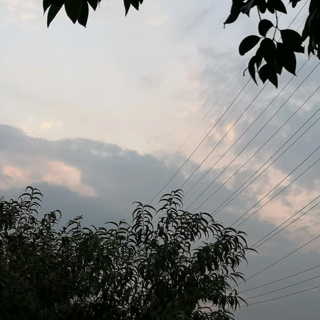 ٩( 'ω' )و我是小奥