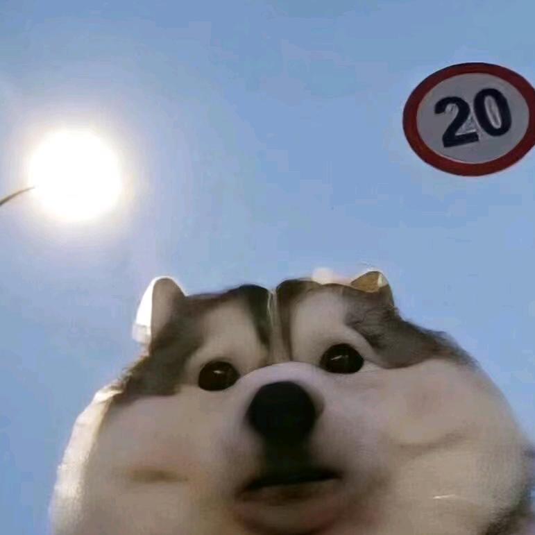 岚狄