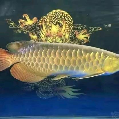 鱼之家水族馆