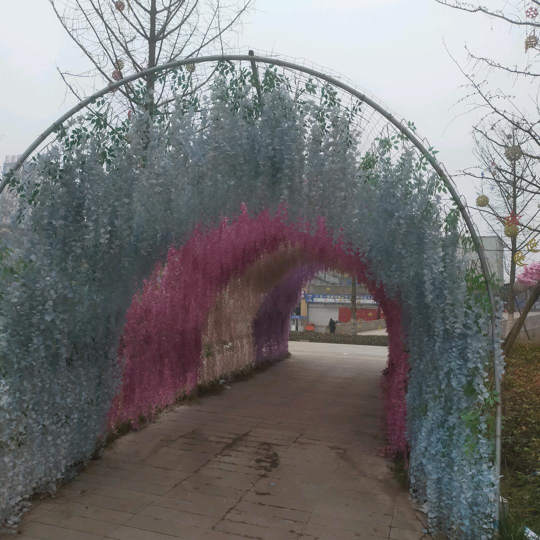 生活分享