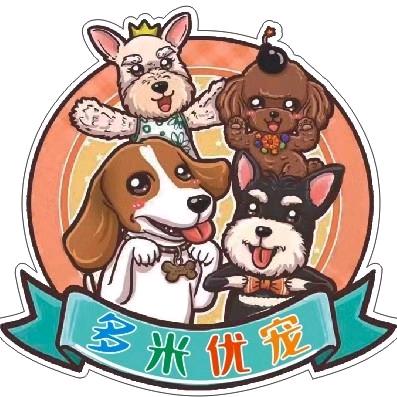 多米优宠～雪纳瑞大本营（买🐶私聊）