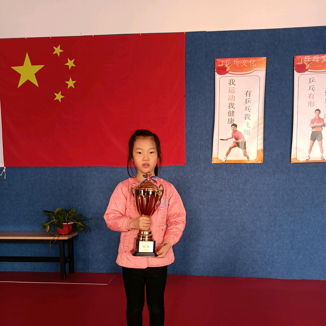 黄骅金冠乒乓球