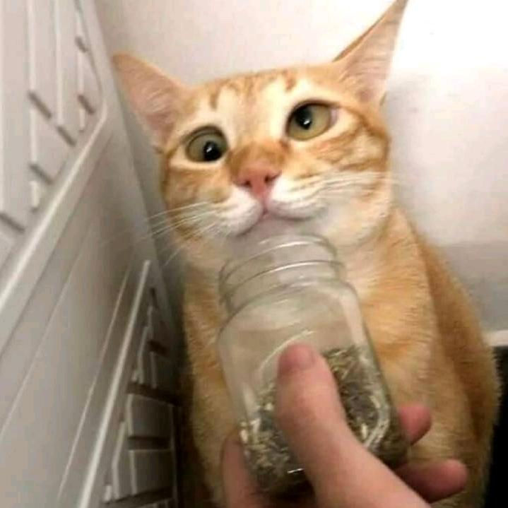 尊敬的各位领导