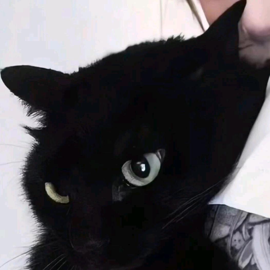 🌈AA啊×吃香菜暴龙绝情公蟑螂中手机